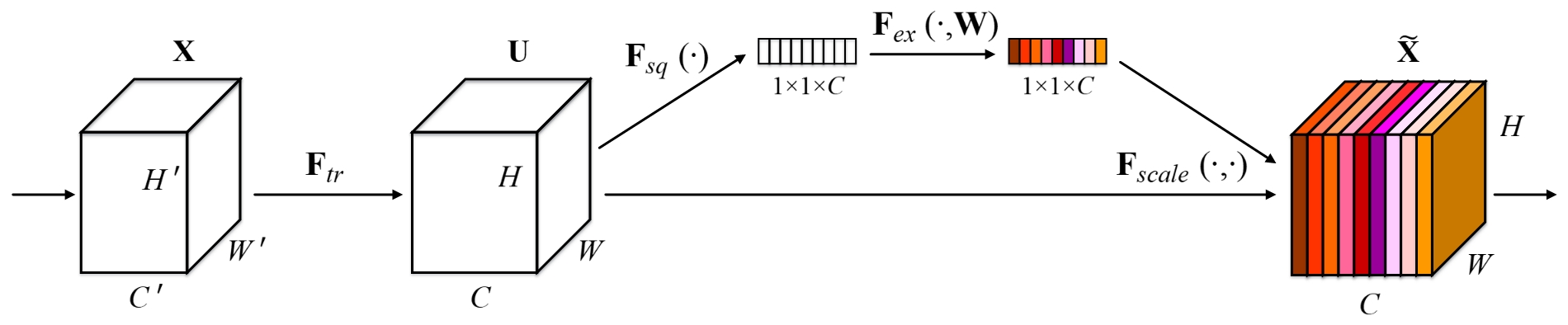 SEnet.jpg