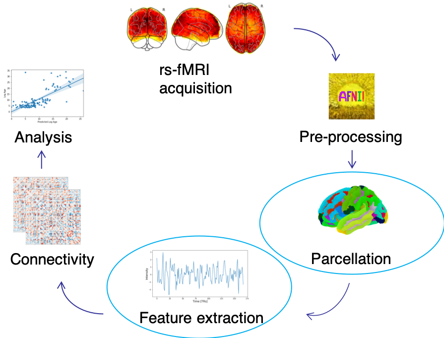 pipeline_detail.png