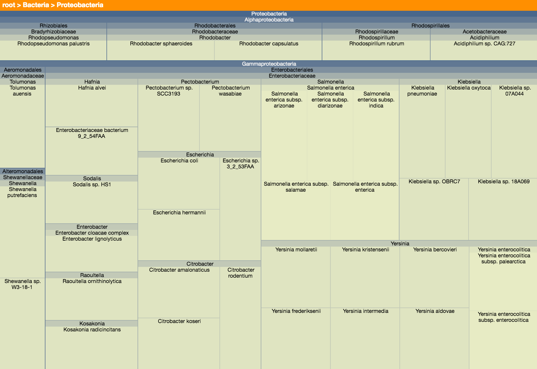 treemap-taxonomy.png